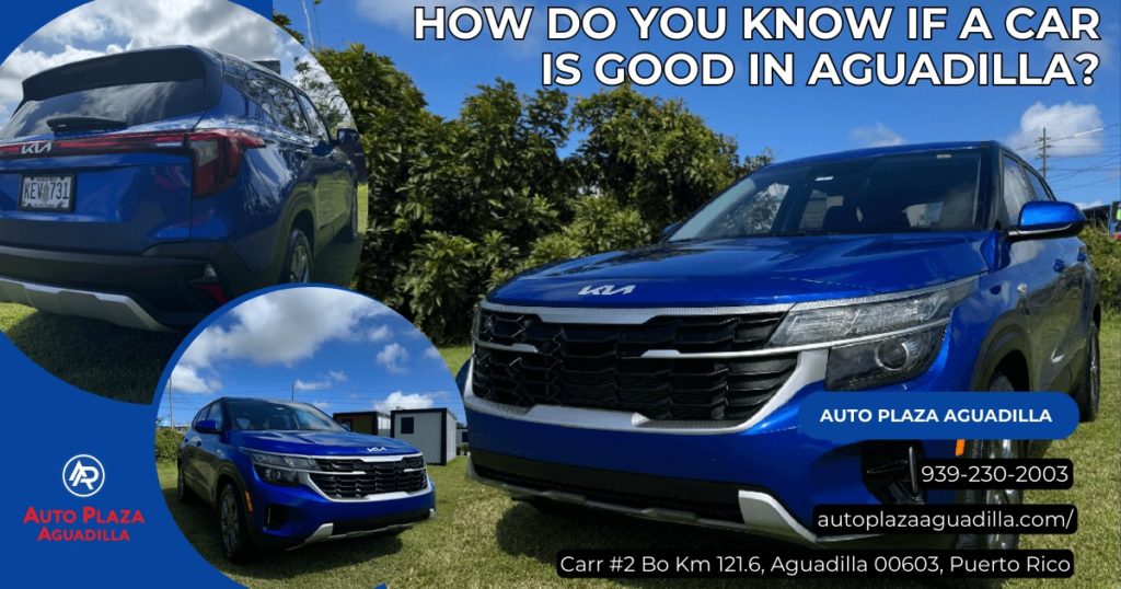 494324846 980634394265343 7266264232394243944 n